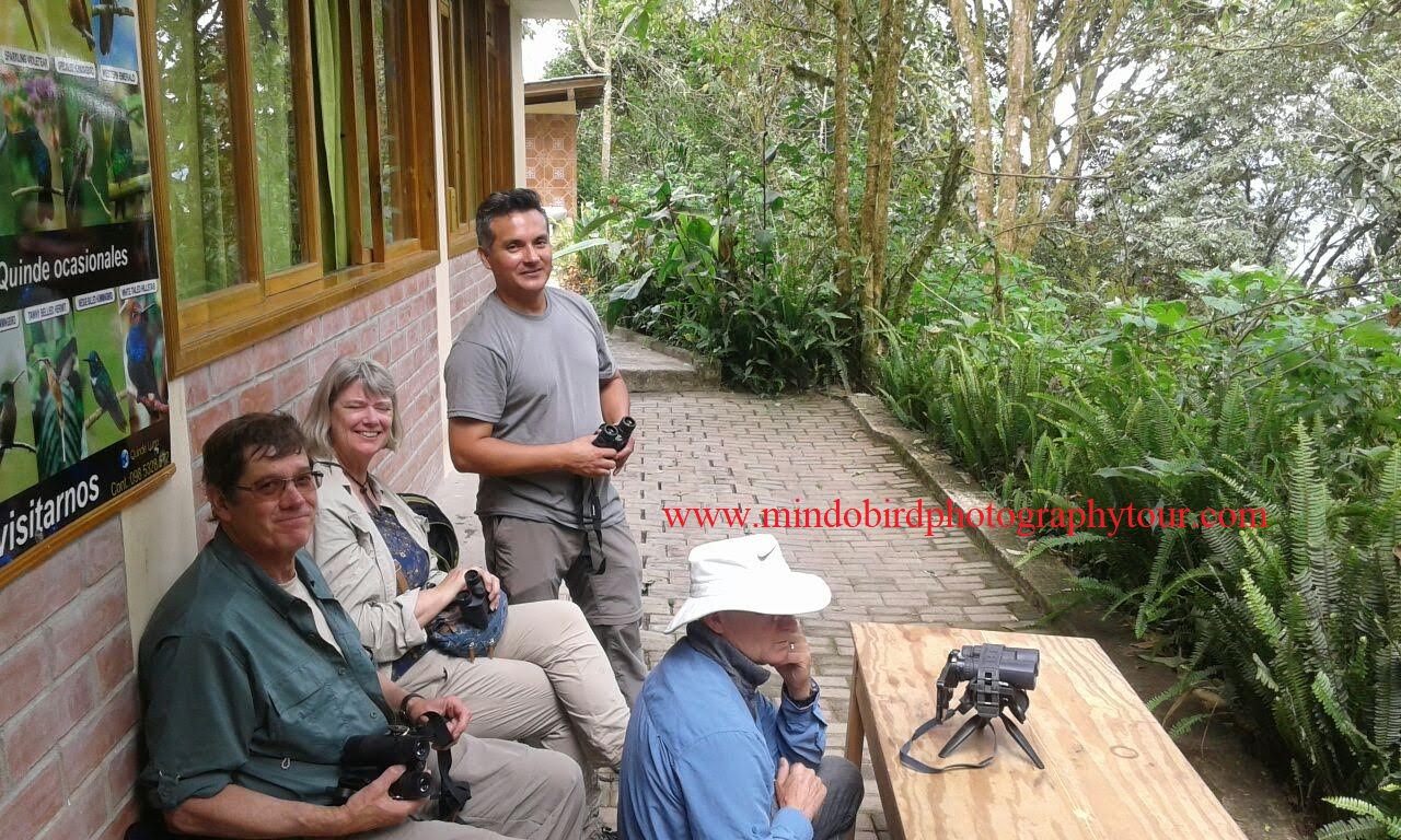 mindo birding tour